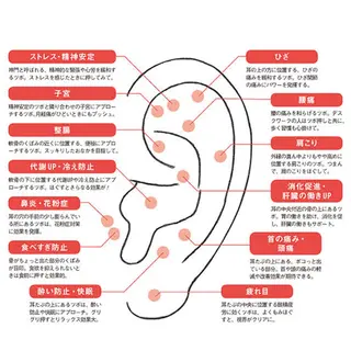 美楽鍼 びらくしんのその他イメージ