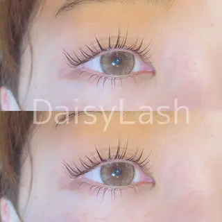 マツエク・マツパ DaisyLash 京橋店のマツエク・マツパデザイン