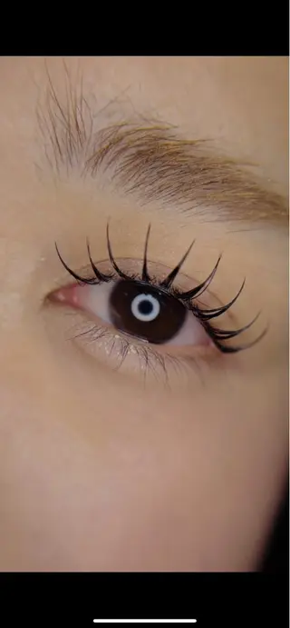 マツエク・マツパ Hoshi .の眉毛・アイブロウイメージ