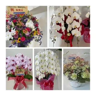 プライベートサロンmoyo所属・プライベートサロン moyoのエステ・リラクイメージ