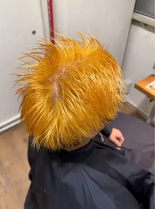 カラー 🐈ブリーチ/ショー ト/ボブmiyu🐈のヘアスタイル