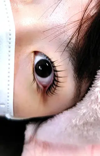 マツエク・マツパ L'oeillet ルイエのマツエク・マツパデザイン