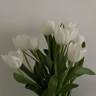 🦋美肌サロン. maho🦋のエステ・リラクイメージ