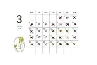 伊佐 愛のヘアスタイル