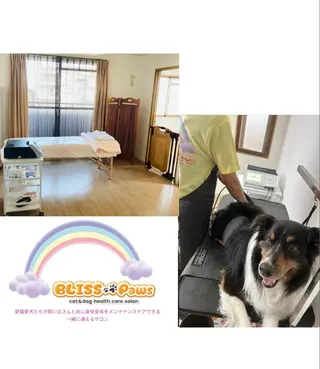 BLISS🐾Paws所属・わんにゃんと通える ヘルスケアサロンのエステ・リラクイメージ