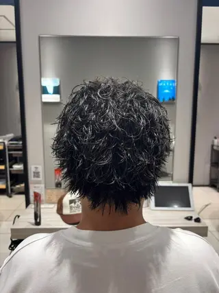 パーマ メンズ 菊池蒼大 《メンズ専門美容師》のヘアスタイル