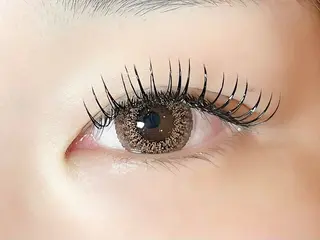 マツエク・マツパ sola: neolive熊田のマツエク・マツパデザイン