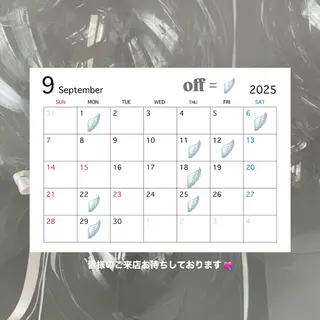 マツエク・マツパ Stella 中島のマツエク・マツパデザイン