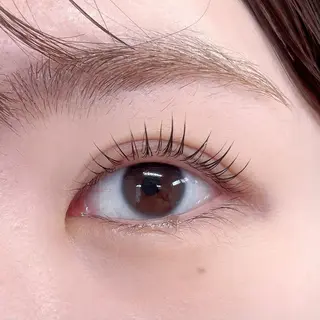 ใใใจใฏใปใใใ ๐๐๐๐๐ ๐ฆ๐ใฎใใใจใฏใปใใใใใถใคใณ