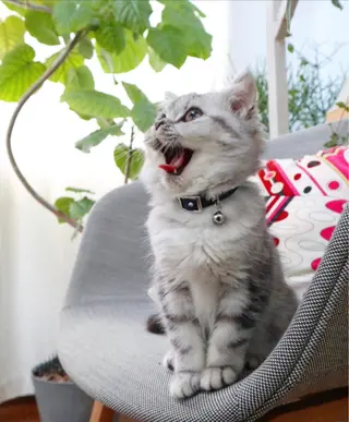 RENsalon大阪 体質改善リトリートのエステ・リラクイメージ