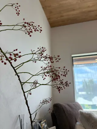 ネイル 🌲🌳🚪iiit o🌲🌳🌲のネイルデザイン