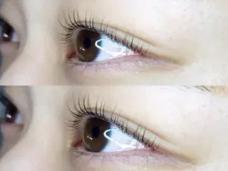 マツエク・マツパ 《eyelash ｉｉｔｅ》森のマツエク・マツパデザイン