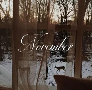 ネイル 栗田 ゆう子のネイルデザイン