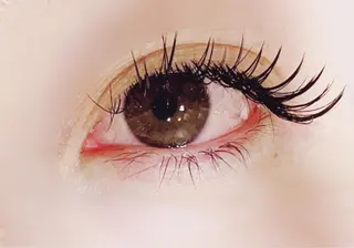 マツエク・マツパ CLOVER一宮店所属・岩佐 朋香のマツエク・マツパデザイン