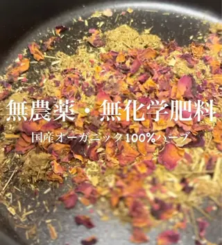 Beauty Salon Family所属・ビューティーサロン ファミリーのエステ・リラクイメージ