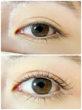 マツエク・マツパ Plume micoのマツエク・マツパデザイン