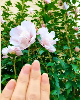 メンズ ネイル ハンドケア&ネイルケア桃の木所属・ケアリスト🍀 マリユキのネイルデザイン