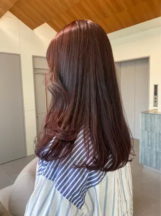 セミロング レイヤーカット‎🤍 /ともえ🤎🧸のヘアスタイル