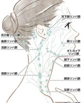 香りの家ローズマリー 🌿アロマリンパのエステ・リラクイメージ