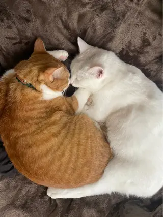 山嵜 まりこのエステ・リラクイメージ