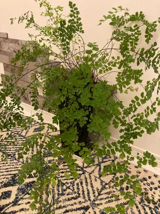 フェイシャルサロン ビアンカガーデンのエステ・リラクイメージ