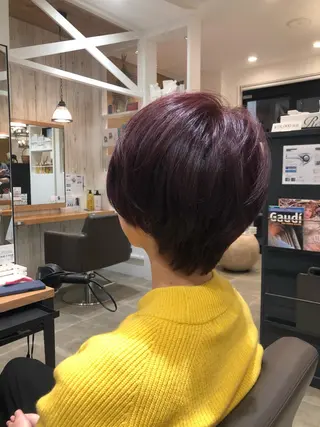 ショート カラー 鈴村 大介のヘアスタイル