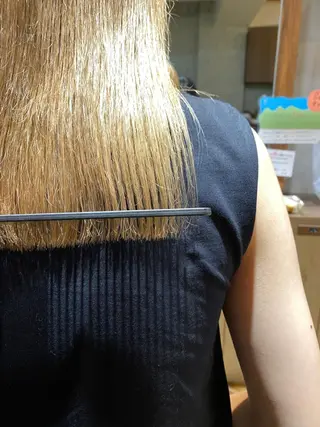 ミディアム カラー 美髪改善・ブリーチ tadasuke⭐️のヘアスタイル