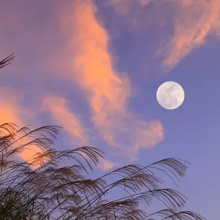 触れたくなる モテ肌へ...❤︎のエステ・リラクイメージ