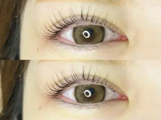 マツエク・マツパ 《eyelash ｉｉｔｅ》森のマツエク・マツパデザイン