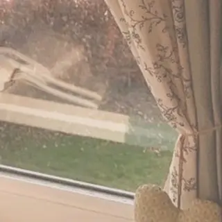 Eye Salon "Koa"【コア】所属・Eye Salon /まつ毛/眉毛のマツエク・マツパデザイン