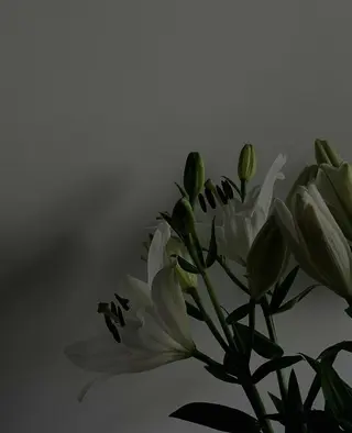 マツエク・マツパ miien(SALONVILLAGE内)所属・MOE /渋谷・明治神宮前のマツエク・マツパデザイン