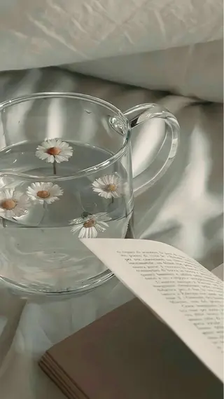 SSINSTUDIO 野口の眉毛・アイブロウイメージ