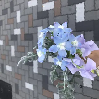 OPREA 千種店のエステ・リラクイメージ