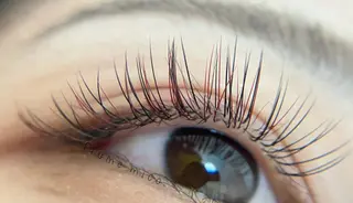 マツエク・マツパ Plume micoのマツエク・マツパデザイン