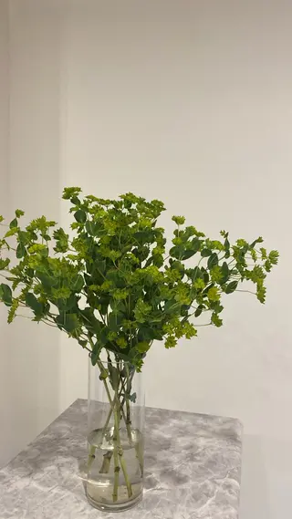 Private Salon S.Nail所属・S.Nail 💅ꕤのネイルデザイン