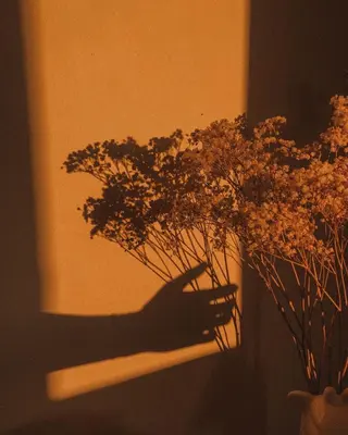 マツエク・マツパ miien(SALONVILLAGE内)所属・MOE /渋谷・明治神宮前のマツエク・マツパデザイン