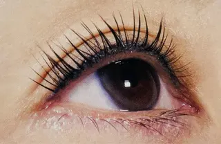 マツエク・マツパ muguet 立川店のマツエク・マツパデザイン