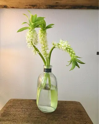 basico  のエステ・リラクイメージ