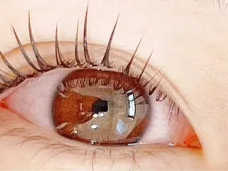 マツエク・マツパ pour voursのマツエク・マツパデザイン