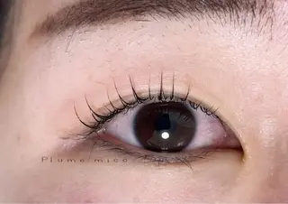 マツエク・マツパ Plume micoのマツエク・マツパデザイン