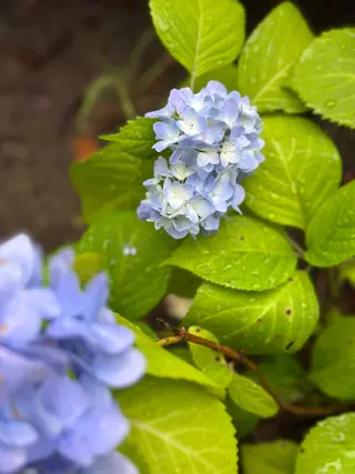 ネイル nail salon  ∞ mikanal ∞所属・nailsalon ∞ ﾐｶﾅﾙ ∞のネイルデザイン