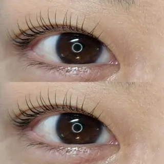 マツエク・マツパ petit ange所属・petit angeのマツエク・マツパデザイン