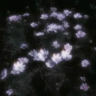 マツエク・マツパ ♡Bianca国分寺 SHIGETA♡のマツエク・マツパデザイン