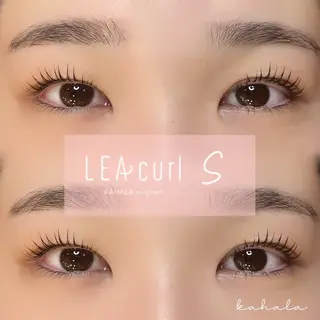 マツエク・マツパ Fujimoto 🦭⸝⋆꙳のマツエク・マツパデザイン