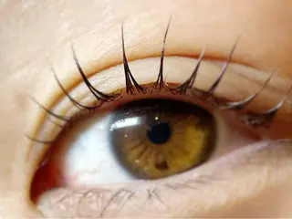 マツエク・マツパ komatsu eyelash恵比寿のマツエク・マツパデザイン