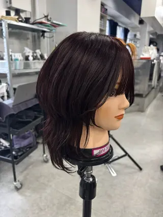 セミロング カラー 🍀ウルフカット🍀 ａｙａｎａ🍀のヘアスタイル