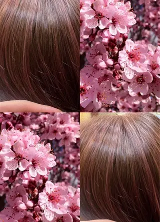 カラー アリヤマ メイカのヘアスタイル