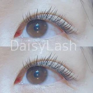 マツエク・マツパ DaisyLash 京橋店のマツエク・マツパデザイン