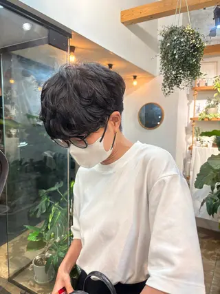 ショート パーマ カネコ ナナミのヘアスタイル