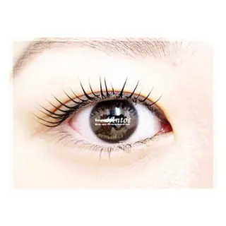 マツエク・マツパ まつげ&眉毛専門店 アントスstaffのマツエク・マツパデザイン